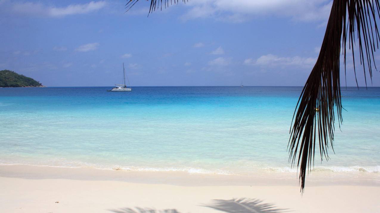 快手两元100个粉丝 - 快手刷双击网址蚂蚁-抖音粉丝全网最低自助下单