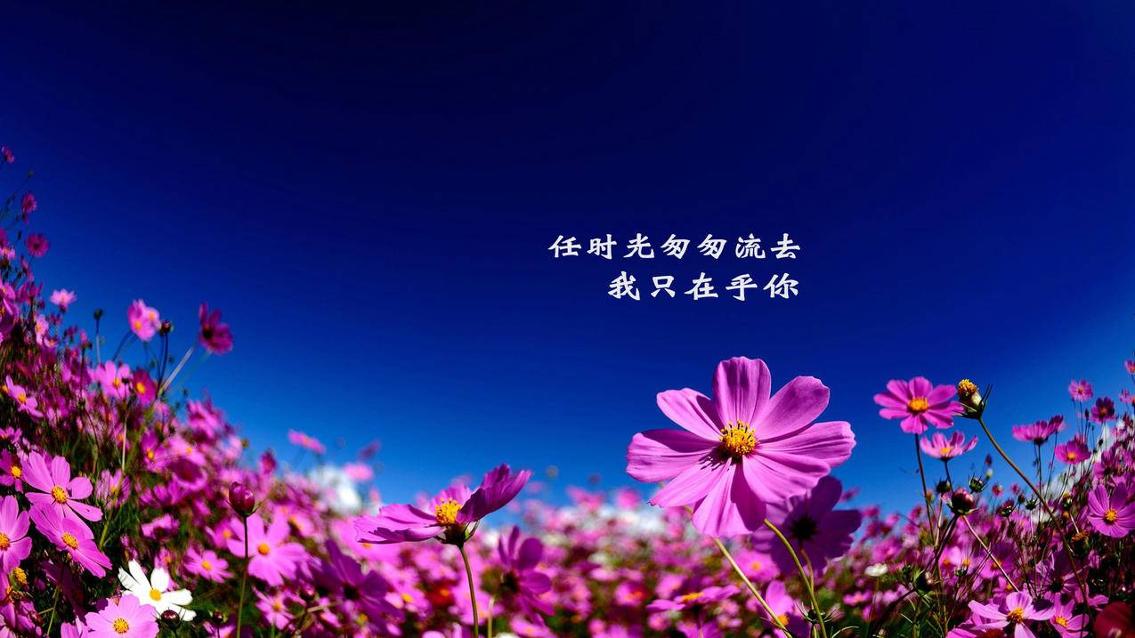 国际抖音网站 - 快