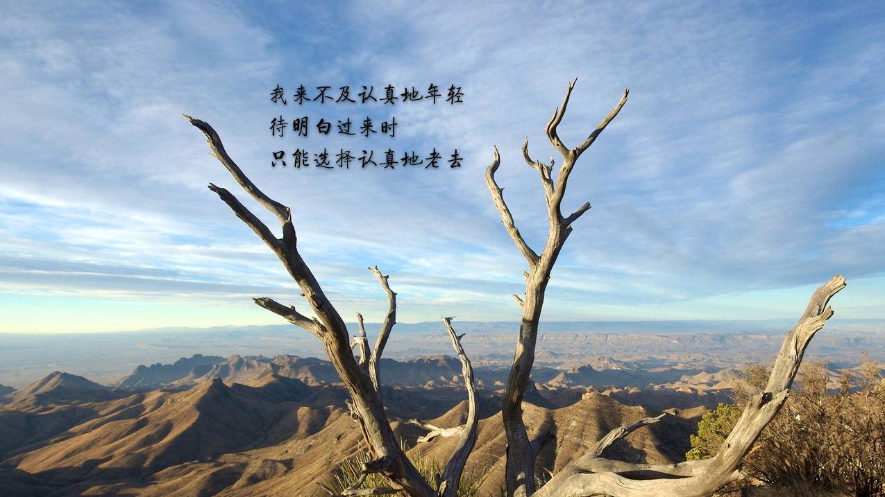 快手一百个赞秒到-刷赞小平台-抖音一号双机业务,刷快手赞平台全网50个