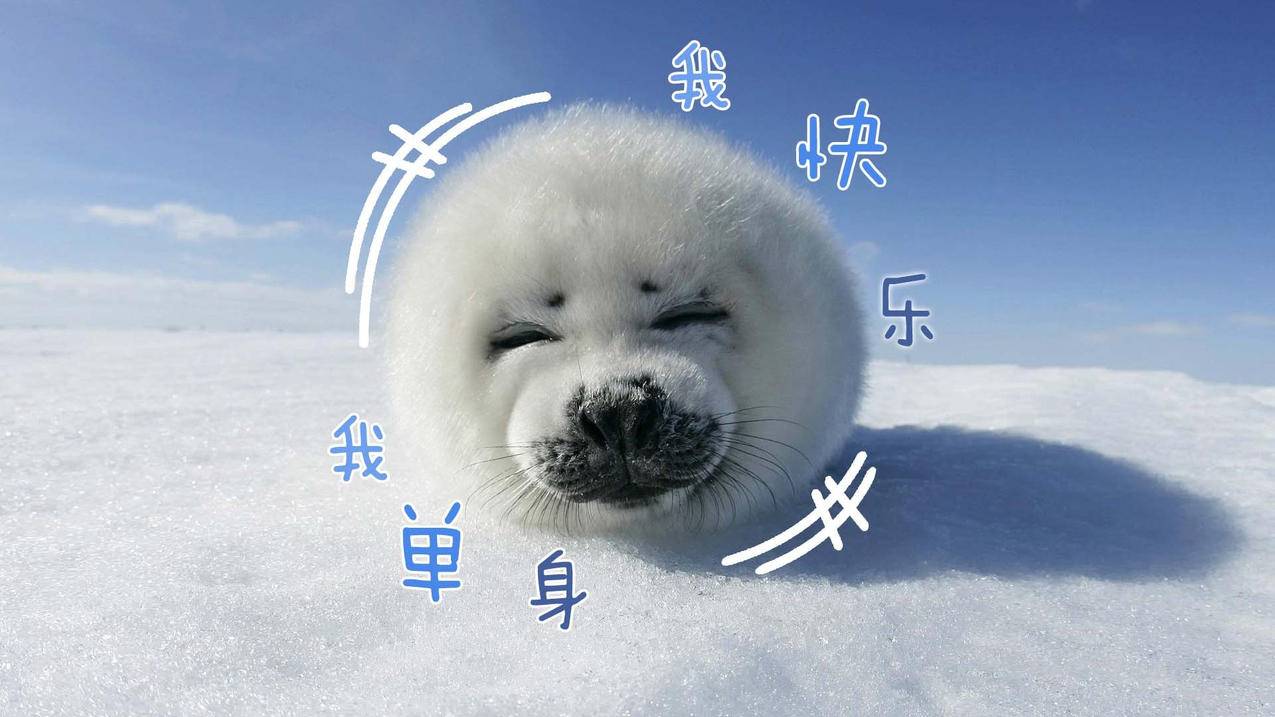 抖音主业务-小红书粉丝点赞抖音刷赞刷赞免费软件免费版,抖音刷赞刷二三十个赞,刷快手真人点赞,全明星快手粉丝点赞