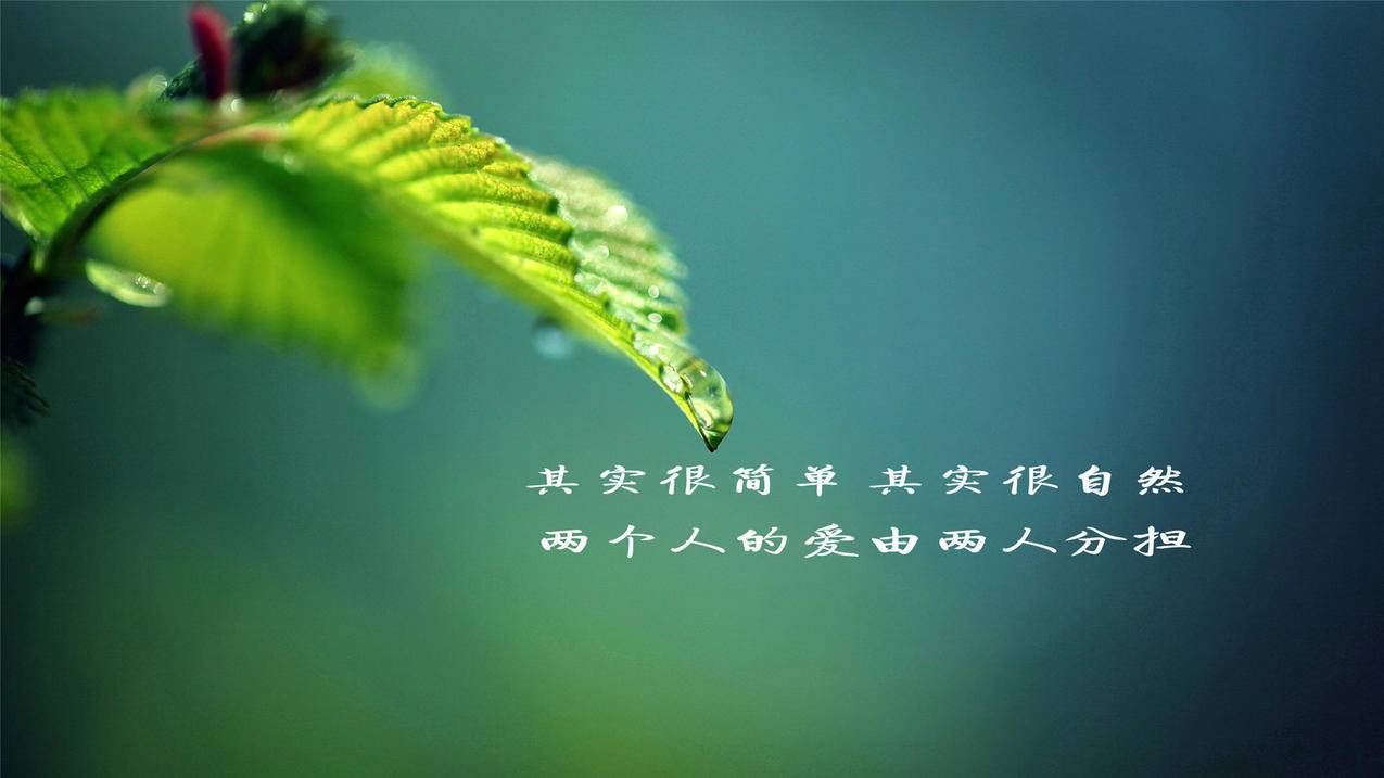免费小红书粉丝点赞刷