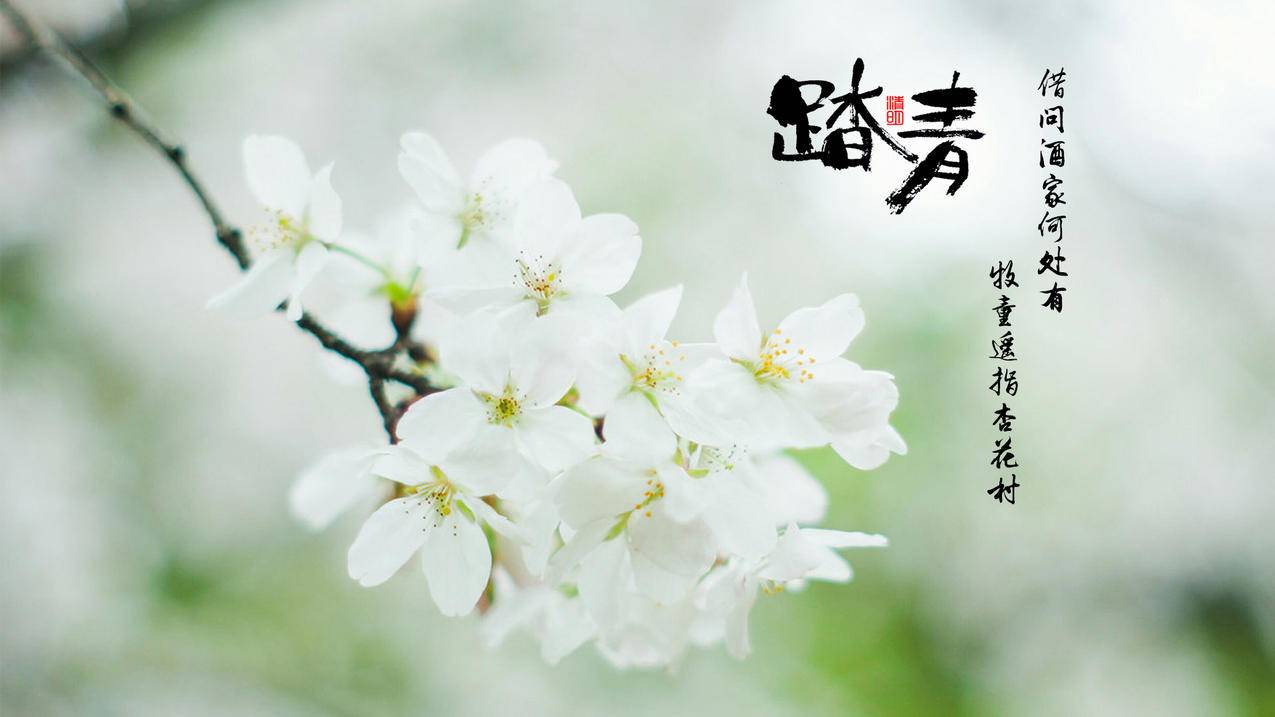 抖音刷赞说说大全刷赞
