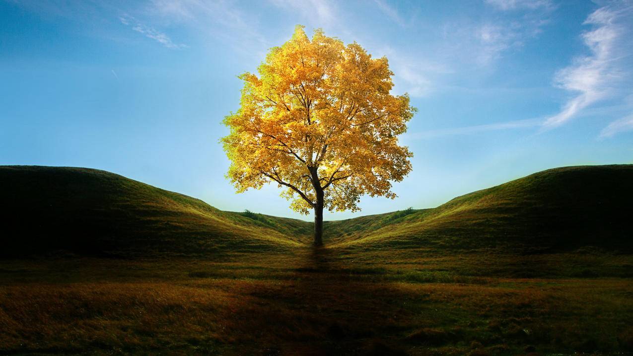 球球大作战代刷网网站-小红书粉丝点赞代刷网免费送一千赞,快刷抖音粉,免费抖音刷赞访客刷人气软件