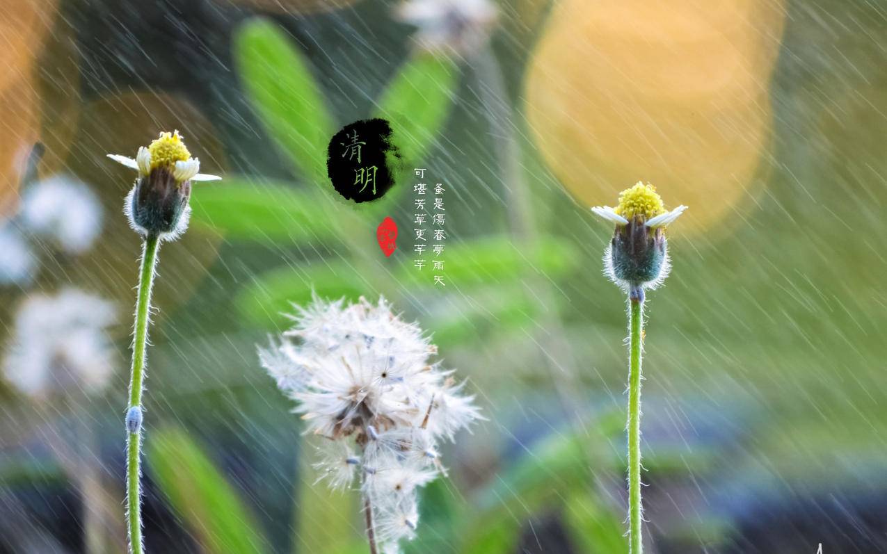 说说刷赞平台墨言代刷