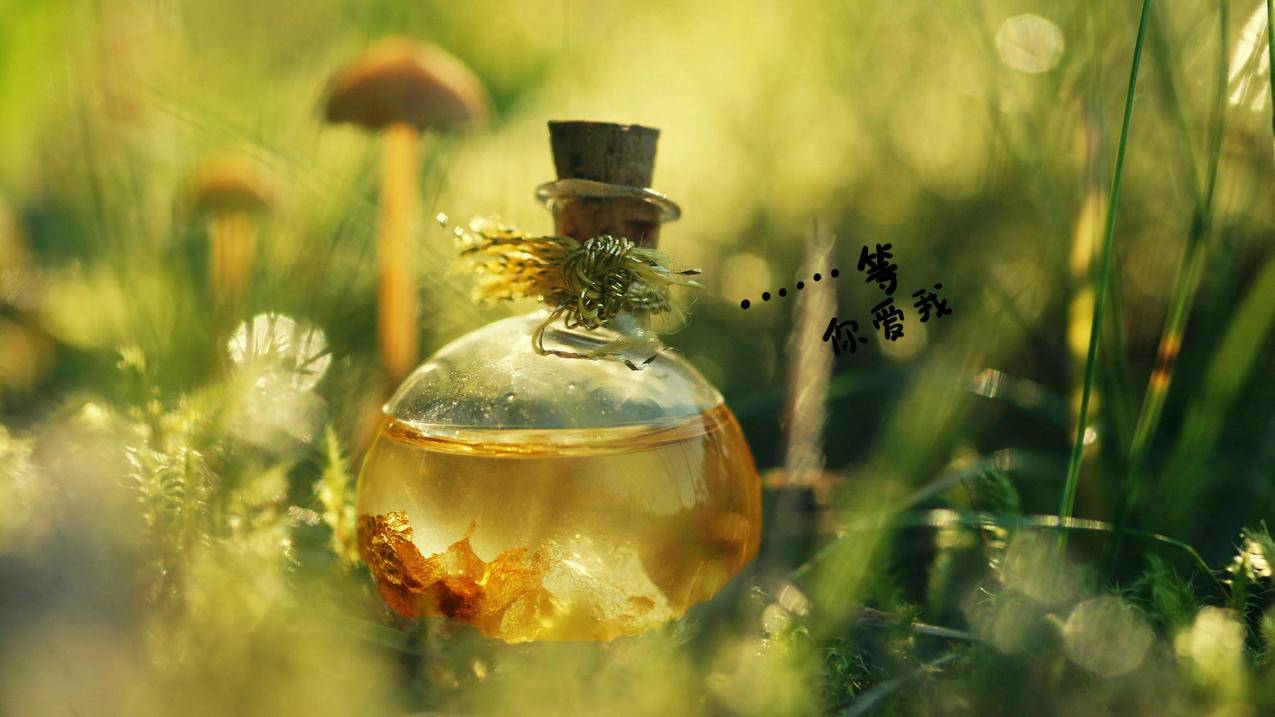 刷抖音直播墨言代刷网最稳 - 梓豪快手业务,抖音快手刷业务平台最便宜