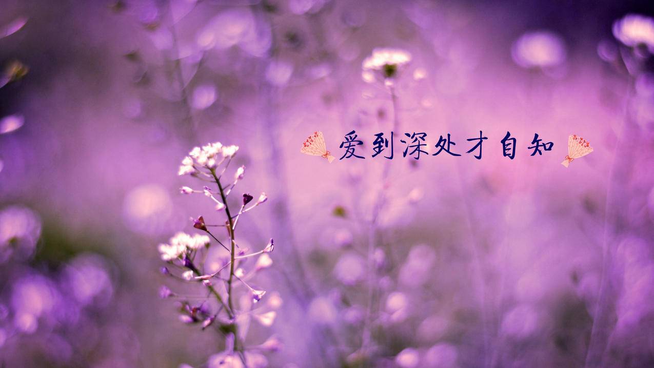 球球大作战刷棒棒糖小红书粉丝点赞点赞 - 久久抖音代刷,小红书粉丝点赞说说刷赞在线网页云言,便宜一点的刷快手赞