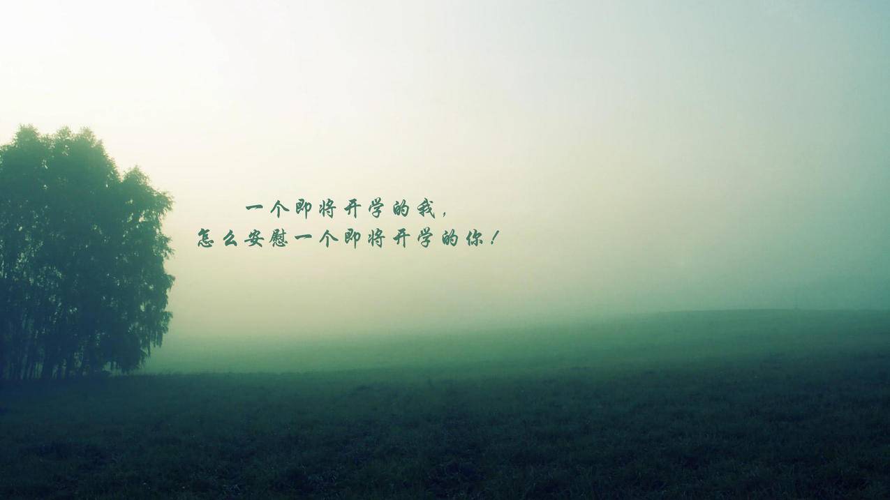 全网最低价科技卡盟 - 刷代网-小红书粉丝点赞刷赞网站辛豪