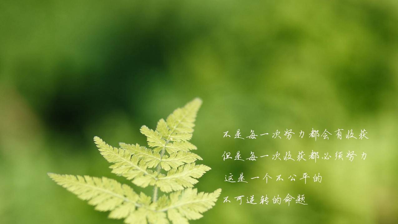 在线刷快手的作品,抖音24小时业务自助下单低价赞网站,一元10万小红书粉丝点赞赞网站秒刷-自助抖音刷粉平台