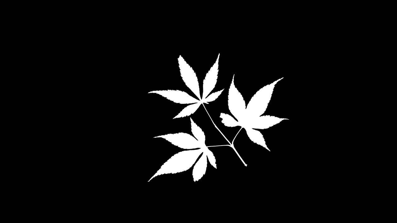 久久代看 - 小红书