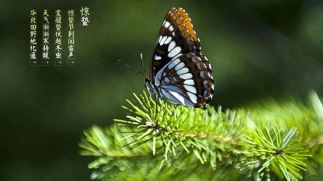 128发卡网,刷会员的网址,小红书粉丝点赞个性标签赞刷99-快手粉丝点赞高刷