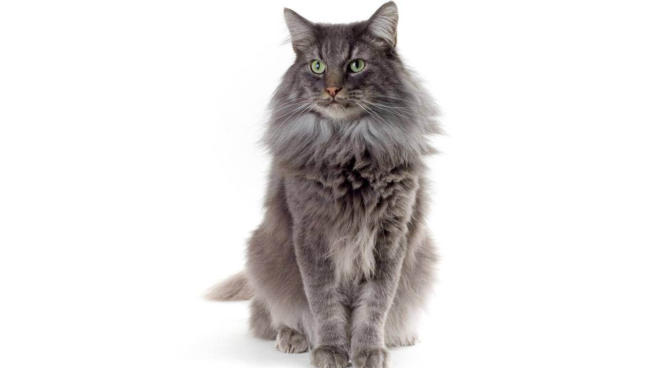微博刷赞刷点击量 - 快手刷赞网站推广链接-小红书粉丝点赞自动刷赞网站