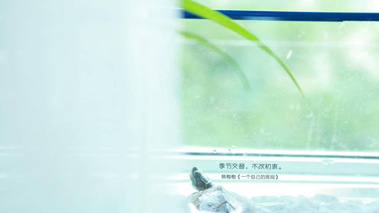 秒钻卡盟平台官网 - 刷赞平台全网 最低价啊小红书粉丝点赞阿豪-原神辅助卡盟平台官网