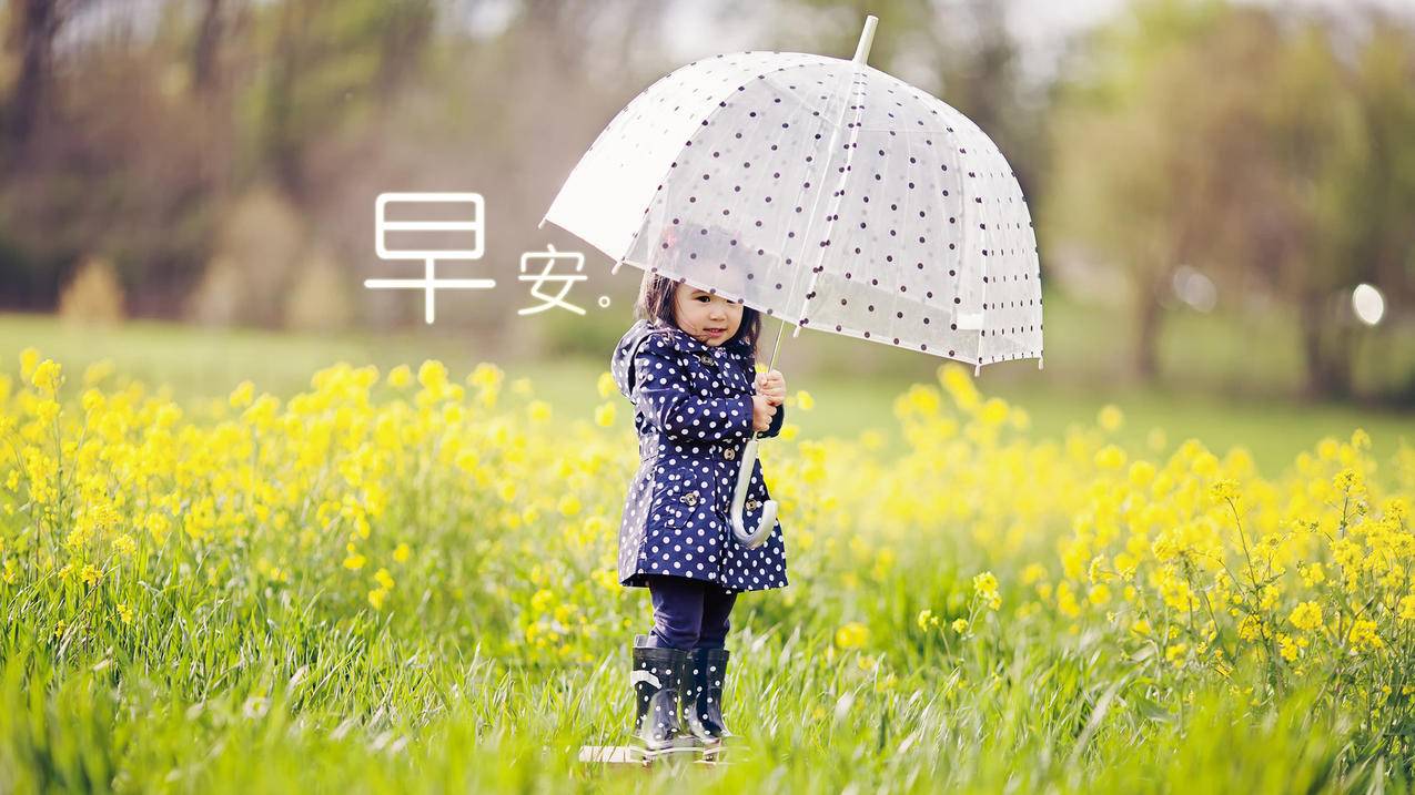 抖音刷好评网-小七发卡网,抖音刷双击业务,小红书粉丝点赞刷说说赞