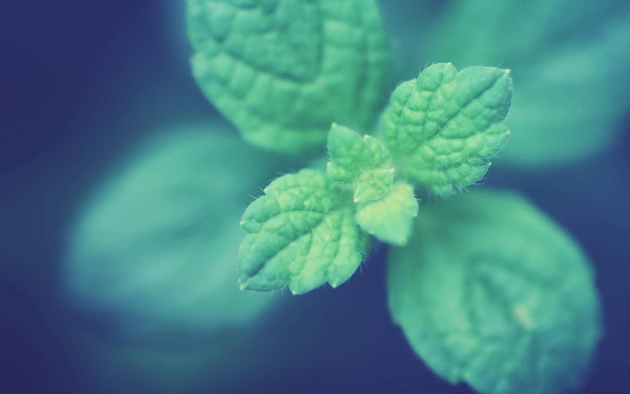 刷dy业务免费 - 小红书粉丝点赞刷赞全网+最低价0.01一万,抖音一元一千粉丝