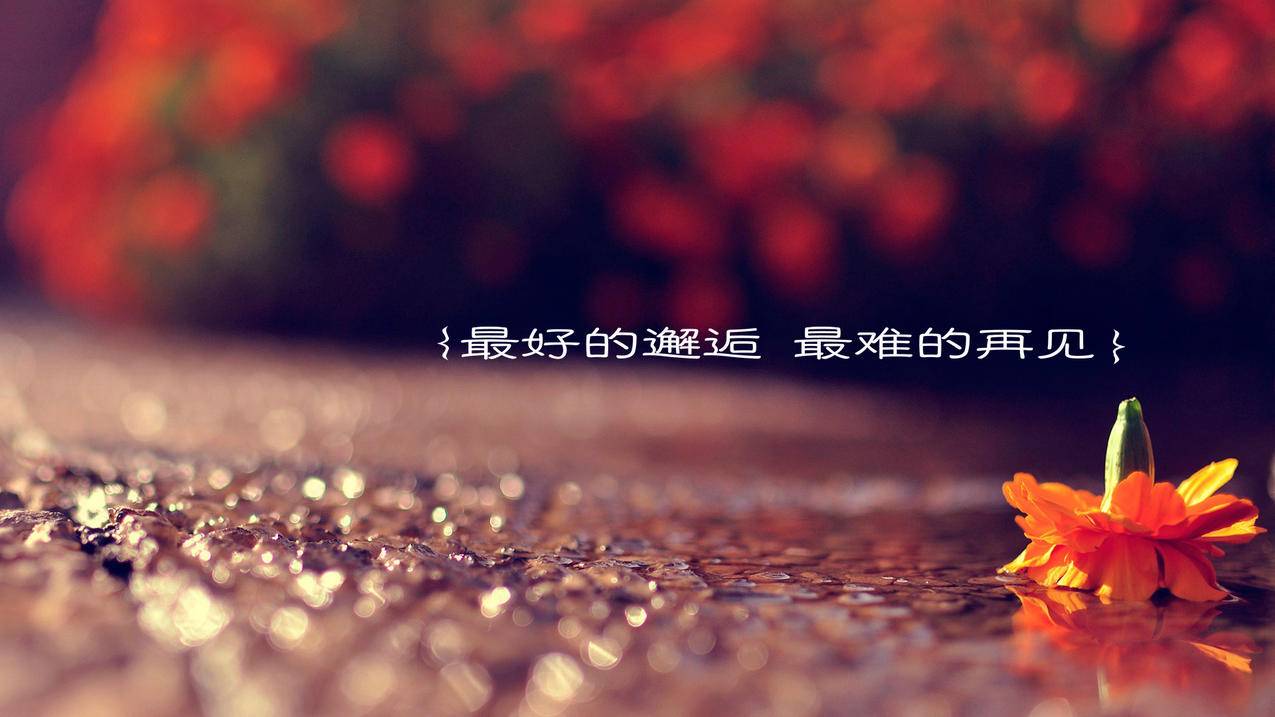 抖音刷赞便宜墨言最优惠-0.1元1000赞-抖音直播间免费代刷,ks低价业务秒刷