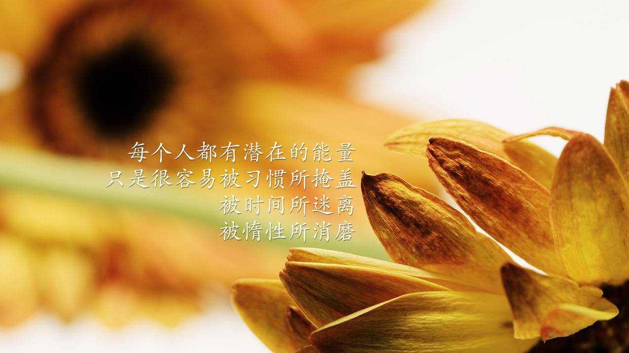 快手刷赞网站南荷,888卡盟官网,小红书粉丝点赞刷赞网站贼便宜-抖音业务自