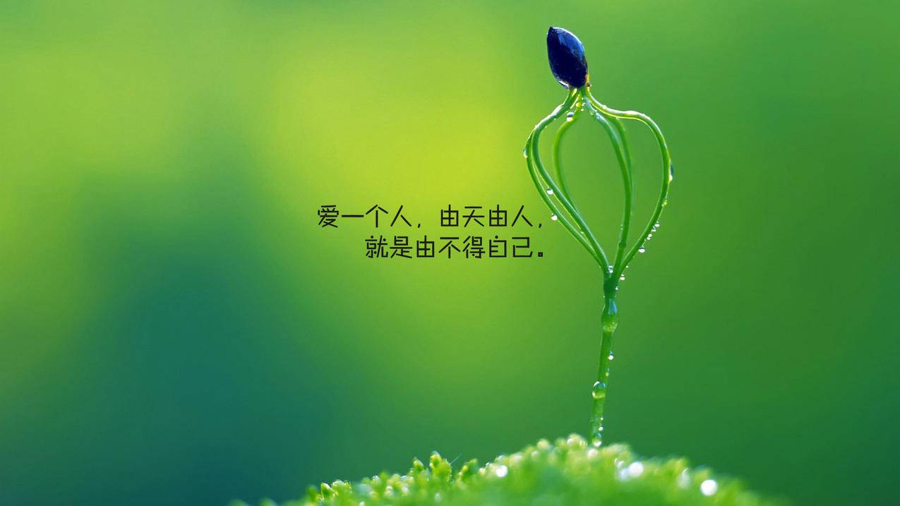 在线刷24个小时网站 - 小红书粉丝点赞刷说说点赞真人,小红书粉丝点赞说说刷赞网站手机版,刷西瓜直播人气自助平台