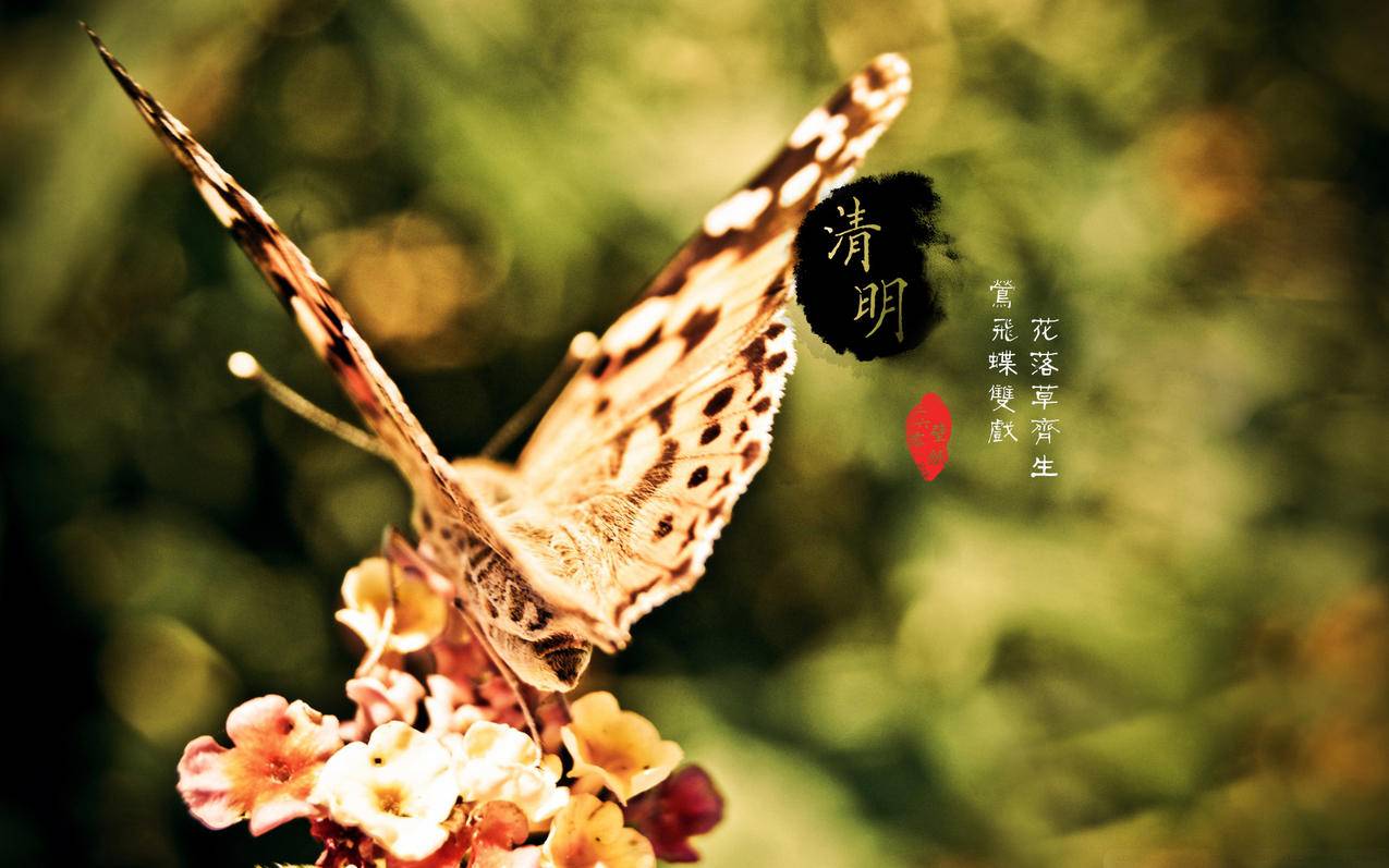 小红书粉丝点赞主页赞刷 - 快手耍刷赞平台,抖音快手兼职点赞平台,479卡盟官网平台