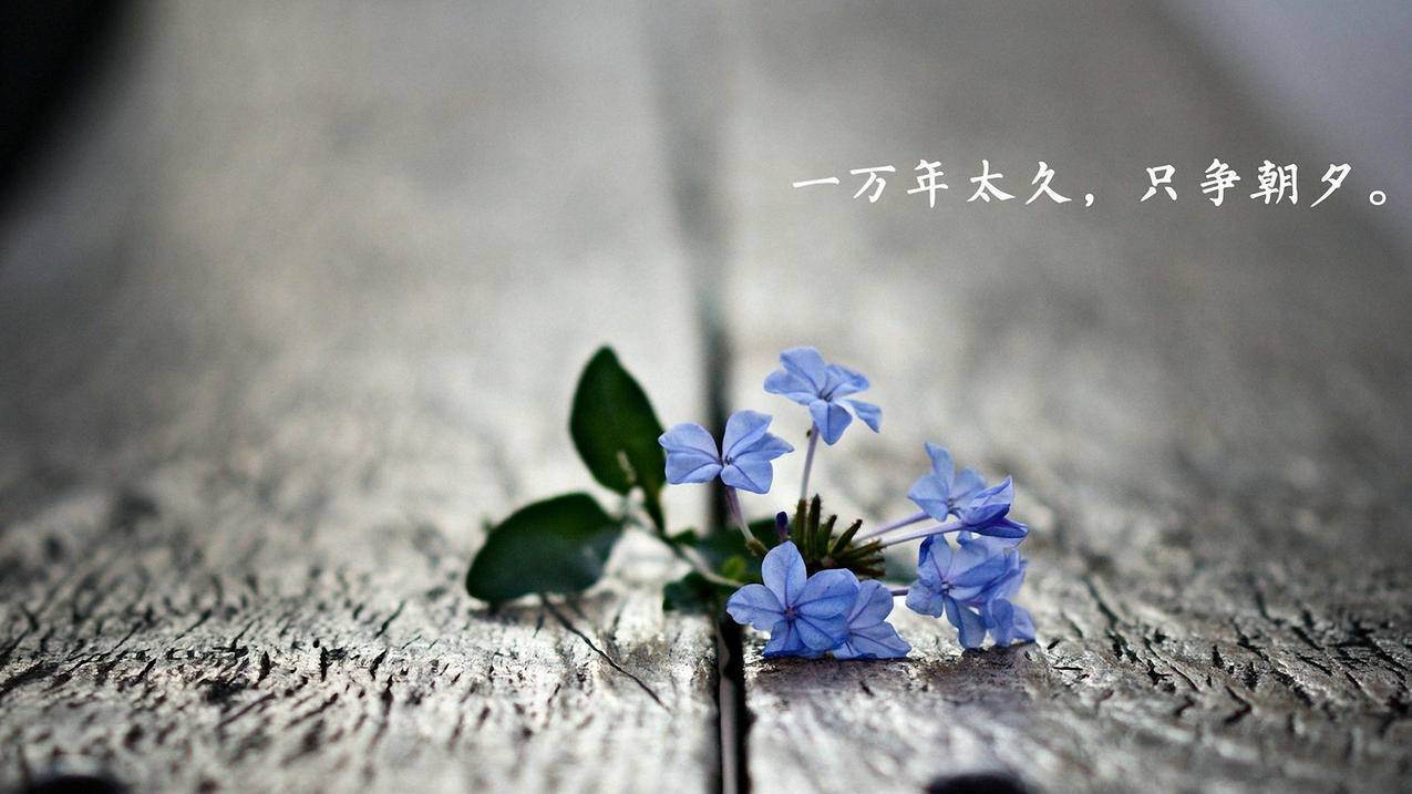低价快手刷抖音刷赞说