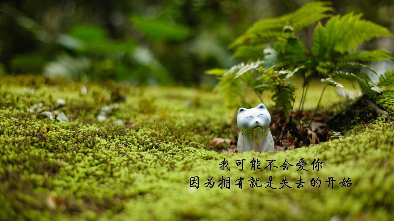 网友商城卡盟-免费刷快手赞网站推广-快手刷死粉免费版网址,免费刷抖音刷赞人气网站