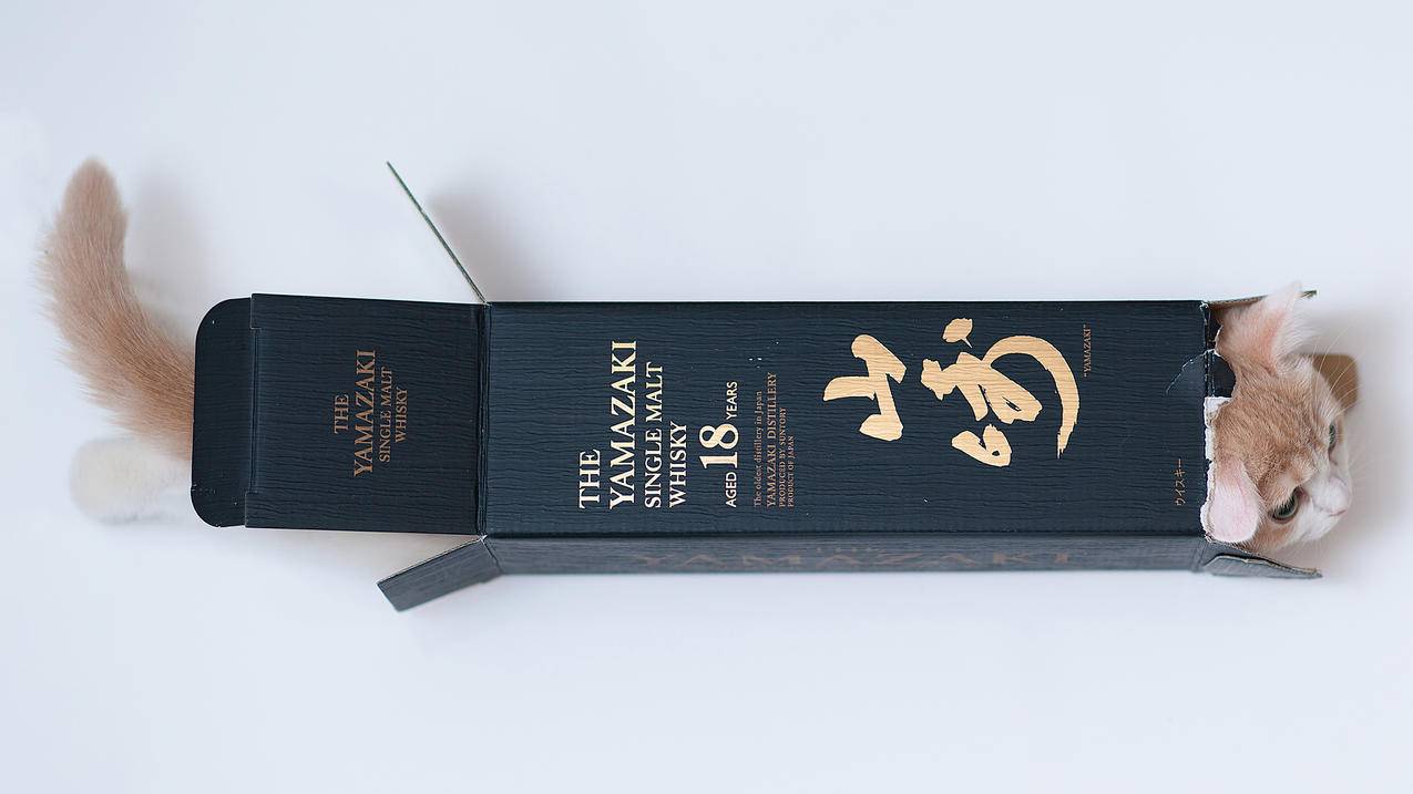 光速刷赞软件小红书粉丝点赞点赞-抖音一元3000粉丝网站-刷赞666,刷赞快手墨言代刷网刷粉