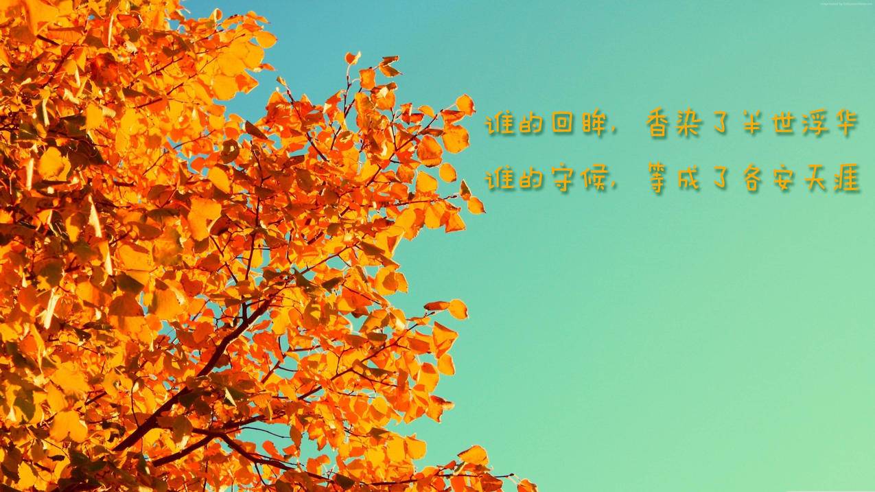 墨客卡盟官网,788