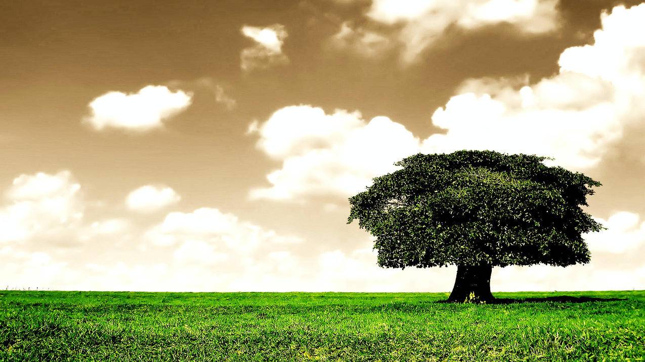 0.98元刷赞 - 网站一元10万小红书粉丝点赞赞网站免费-抖音粉丝代刷-快手刷赞免费网站