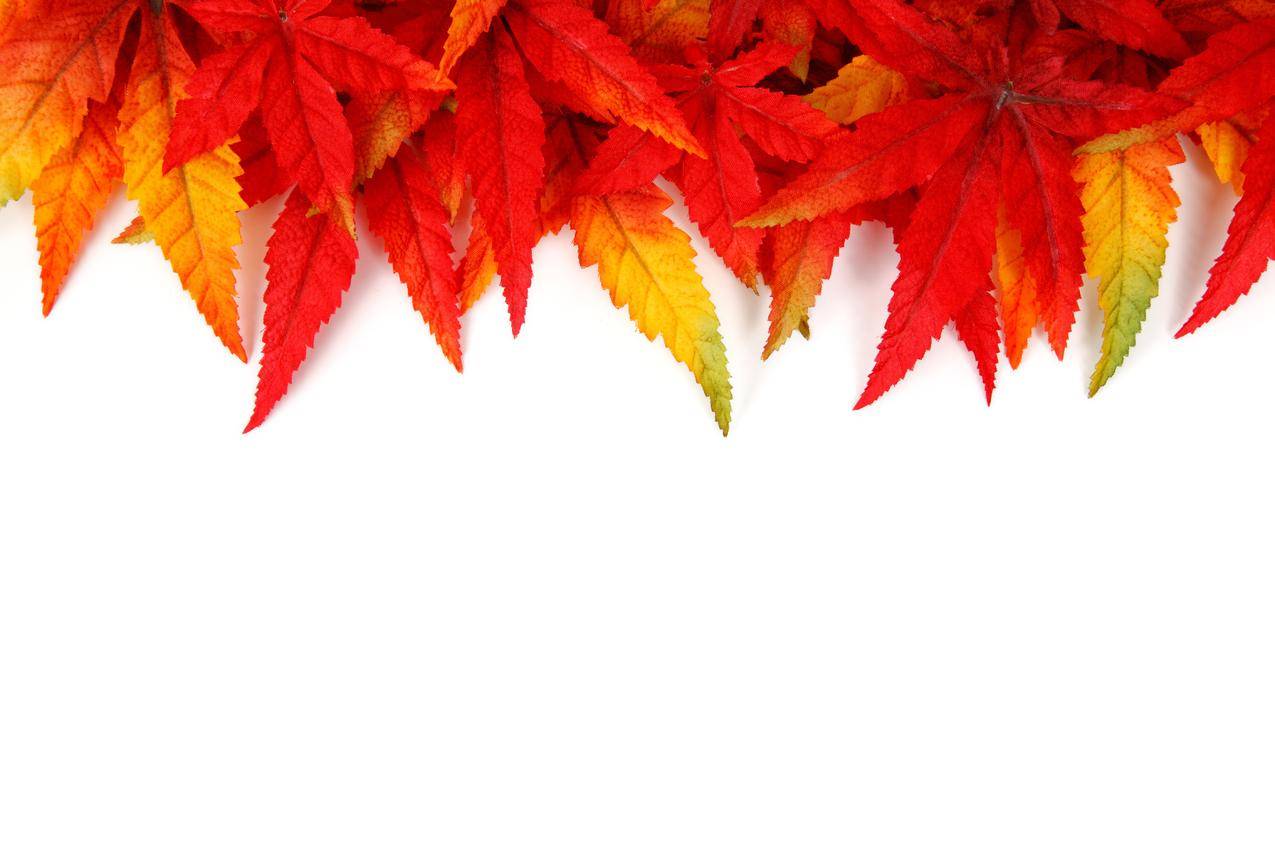 音自助下单平台-全网
