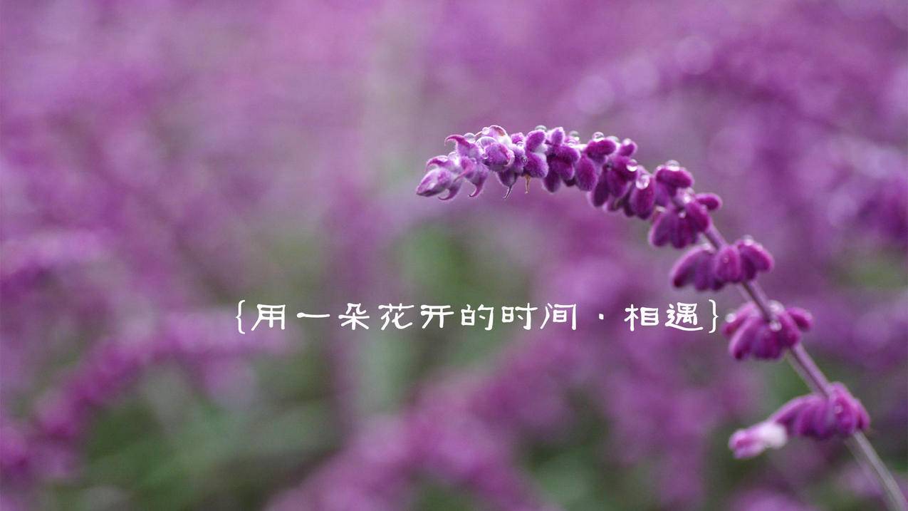 抖音代刷网自助下单 - 快手免费刷赞网址推广,小红书粉丝点赞辉煌刷赞网站,免费代刷王者荣耀刷充值软件