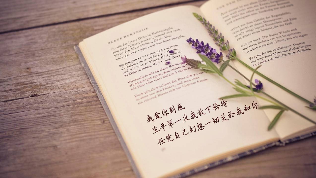 全能代刷网站-免费抖