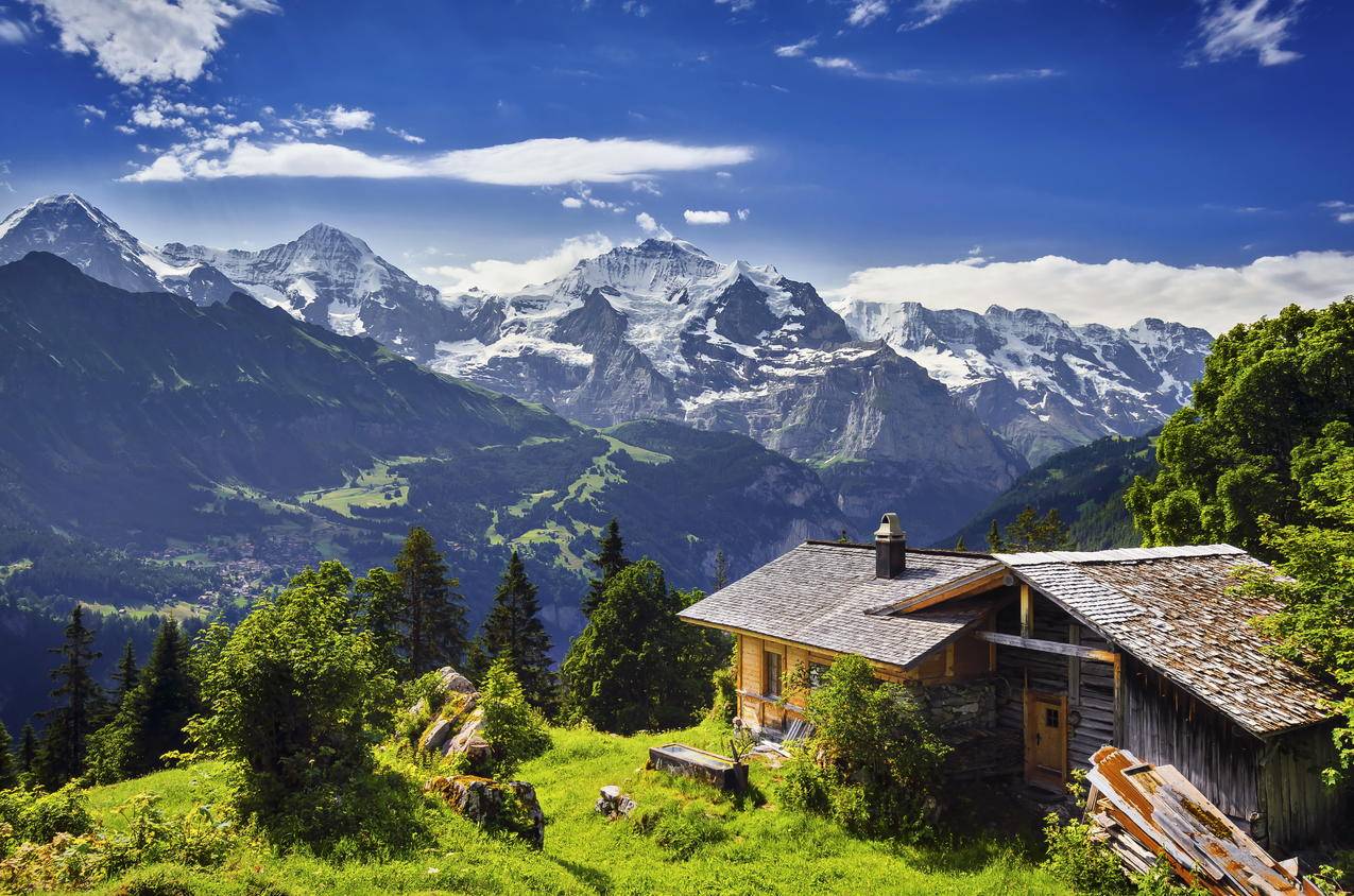 卡盟会员网站 - 免费刷赞网站小红书粉丝点赞抖音刷赞,手机小红书粉丝点赞抖音刷赞刷赞达人_小星星代刷快手