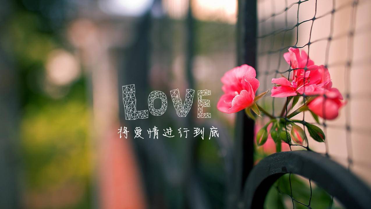 刷快手粉丝网站试呗墨