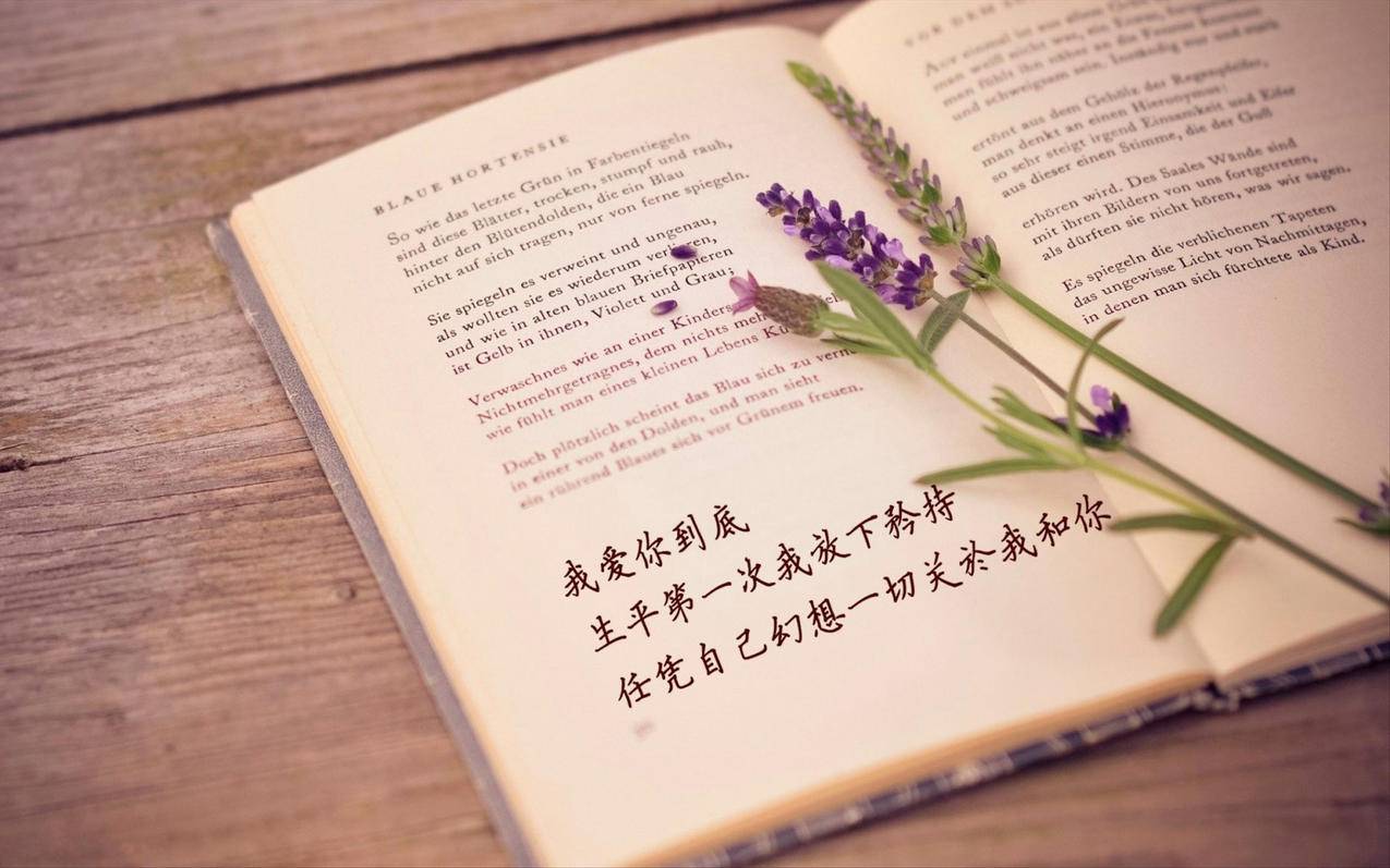 0元代刷网-刷小红书粉丝点赞访问的免费网址,小红书粉丝点赞刷赞十万赞免费,全民小红书粉丝点赞业务自助平台快手