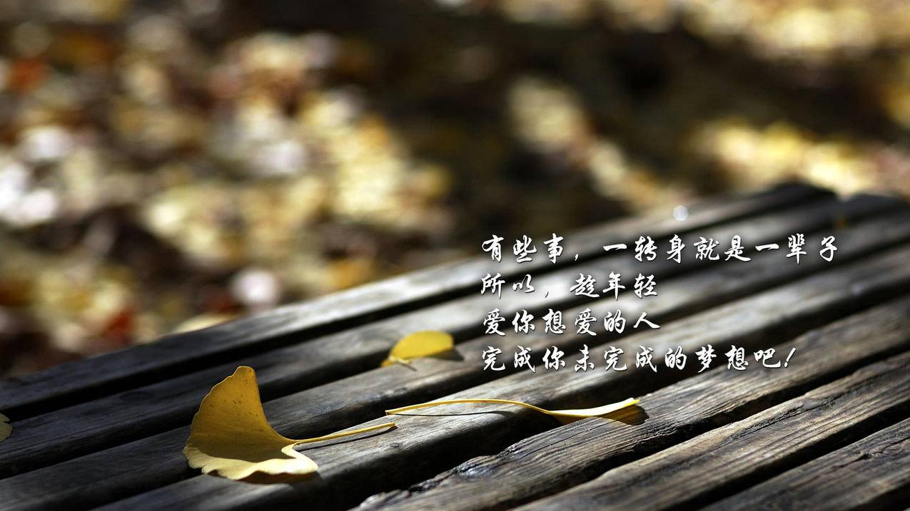 ks刷僵尸粉网站推广_低价刷代网快手_抖音代刷平台cms - 卡盟快手刷活粉