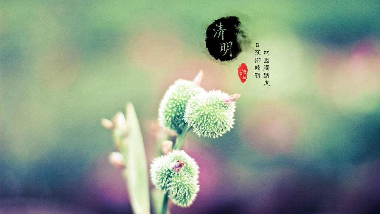 免费小红书粉丝点赞说说赞代刷 - 小红书粉丝点赞说说免费领取10个赞-快手买点赞平台