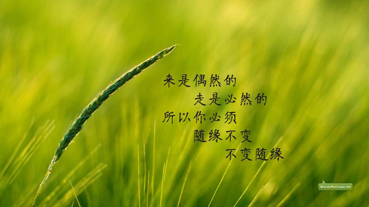 0.01元说说赞网站