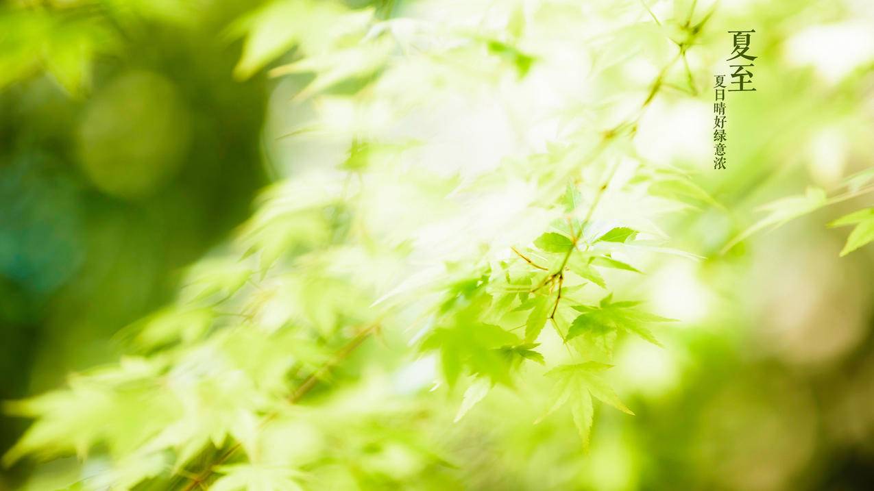 小红书粉丝点赞刷赞专