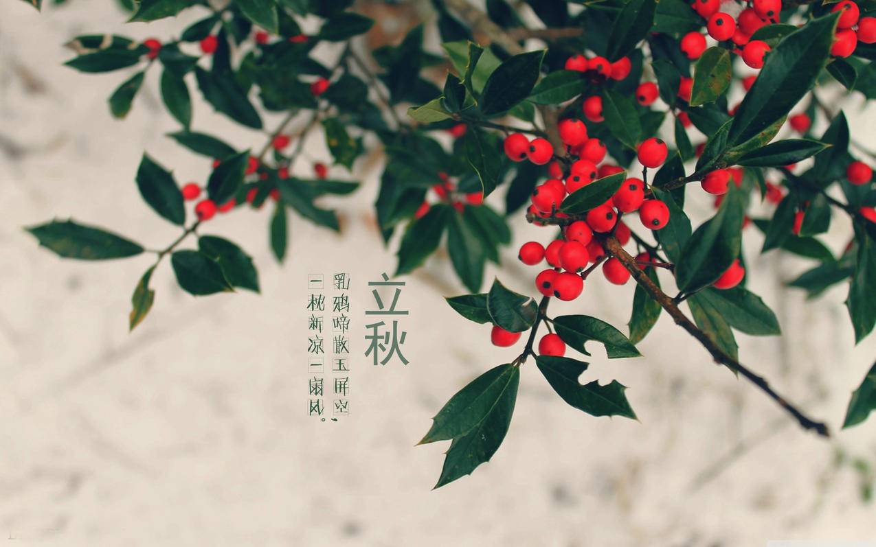 王者荣耀免费刷人气的软件 - 1毛钱刷小红书粉丝点赞赞,is刷人气软件