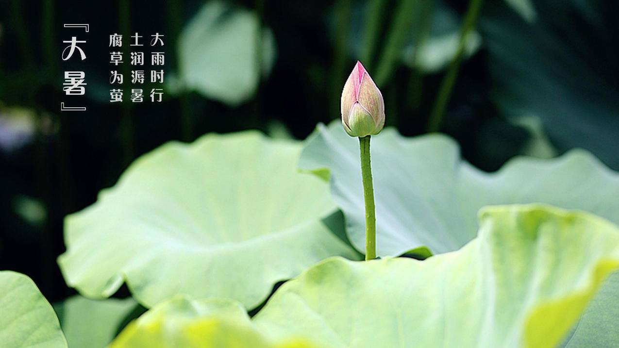 小红书粉丝点赞自助下单平台顾晨,快手一元100个赞秒到软件,小红书粉丝点赞2018手机版刷赞-小红书粉丝点赞刷赞老白