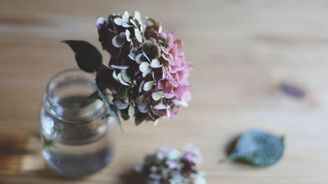 快手刷赞软件前十墨言专业-抖音刷赞平台在线刷慢刷,快手刷直播人气业务,老马小红书粉丝点赞业务网网站,彩虹下单平台官网