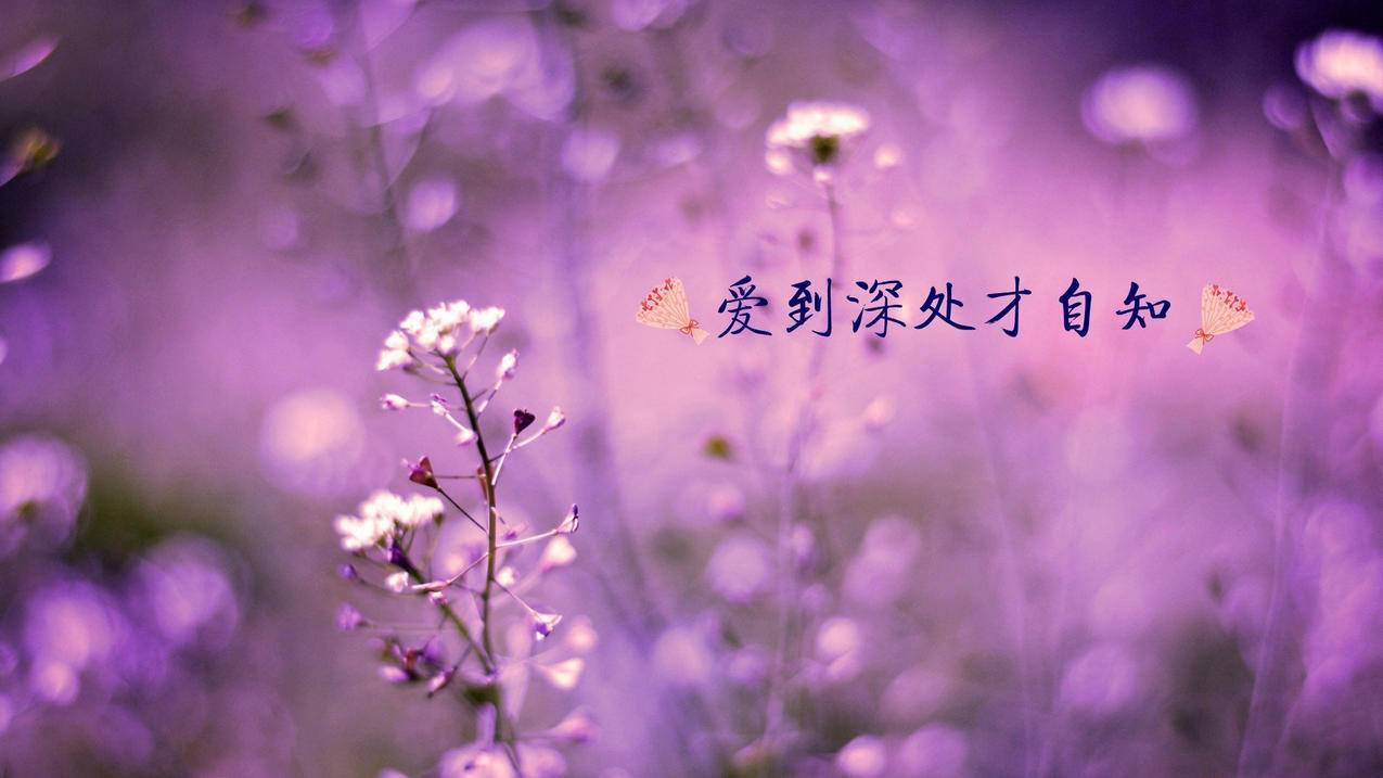 小红书粉丝点赞说说说