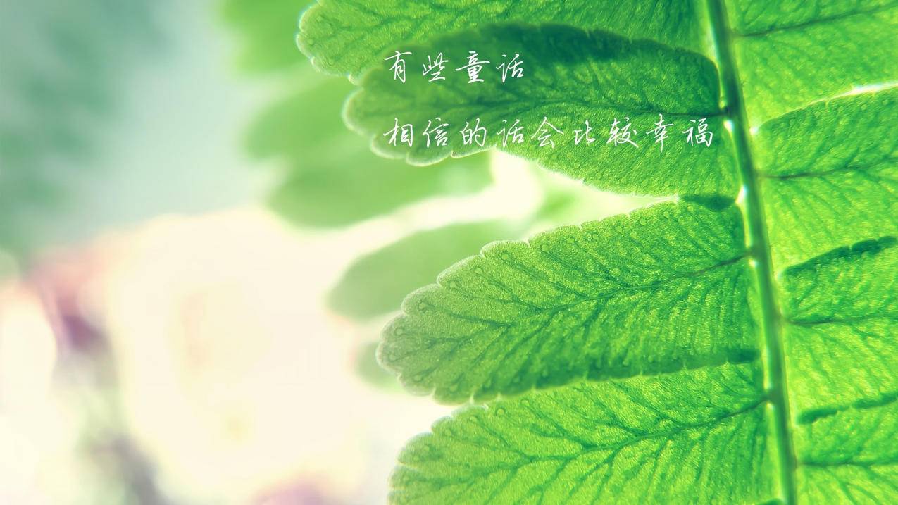 小红书粉丝点赞号刷人