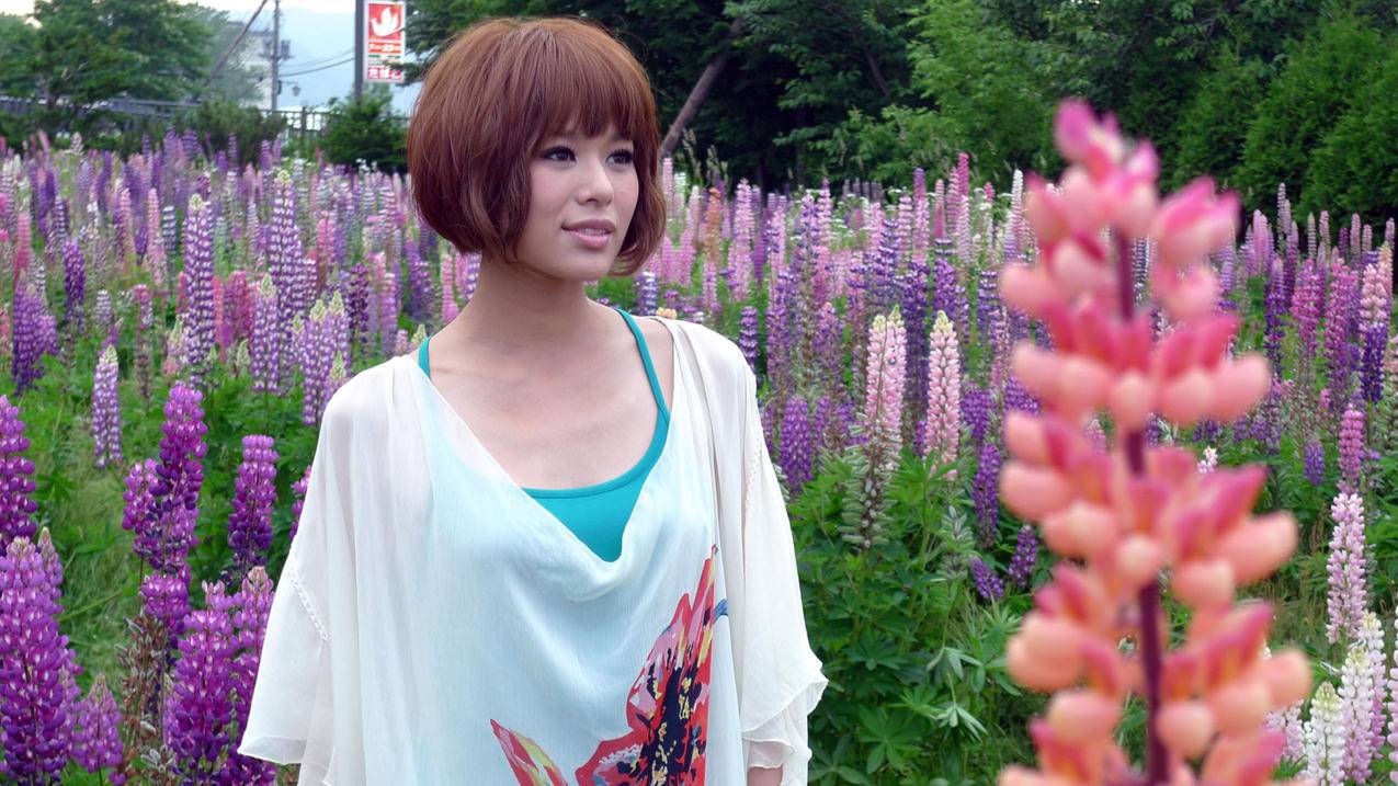 免费刷抖音刷赞访客网