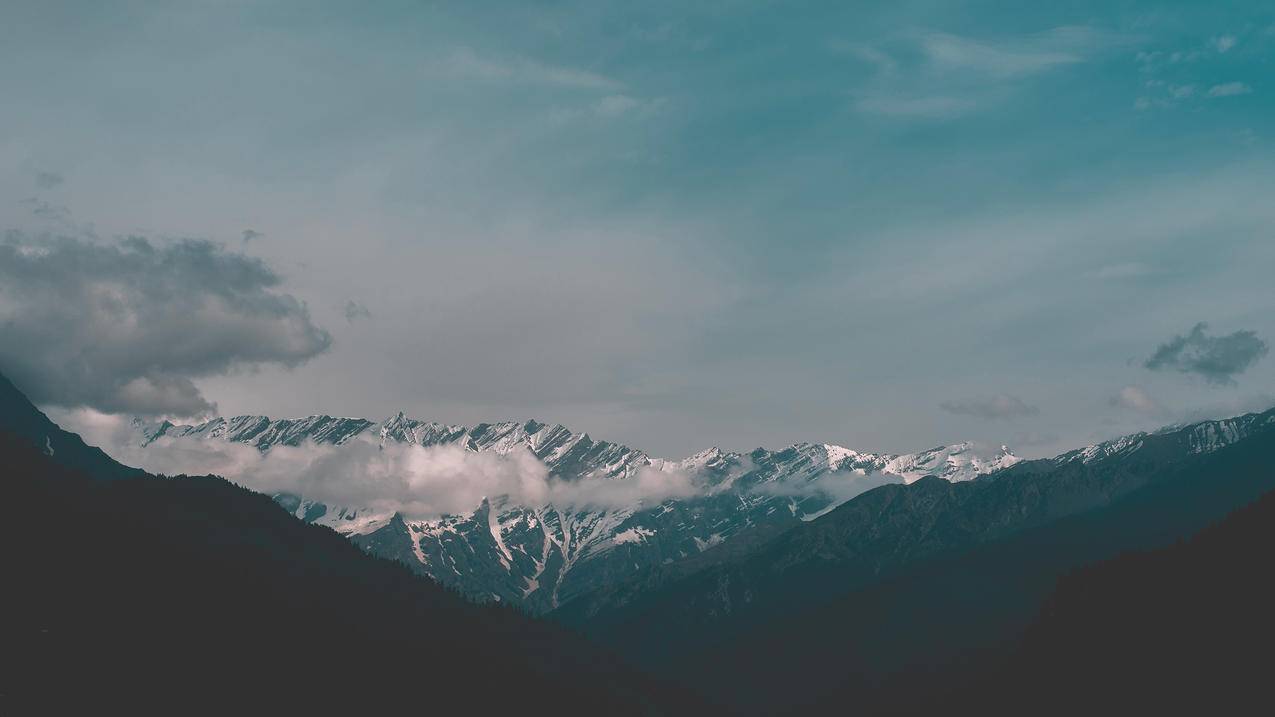 快手自助业务区,球球