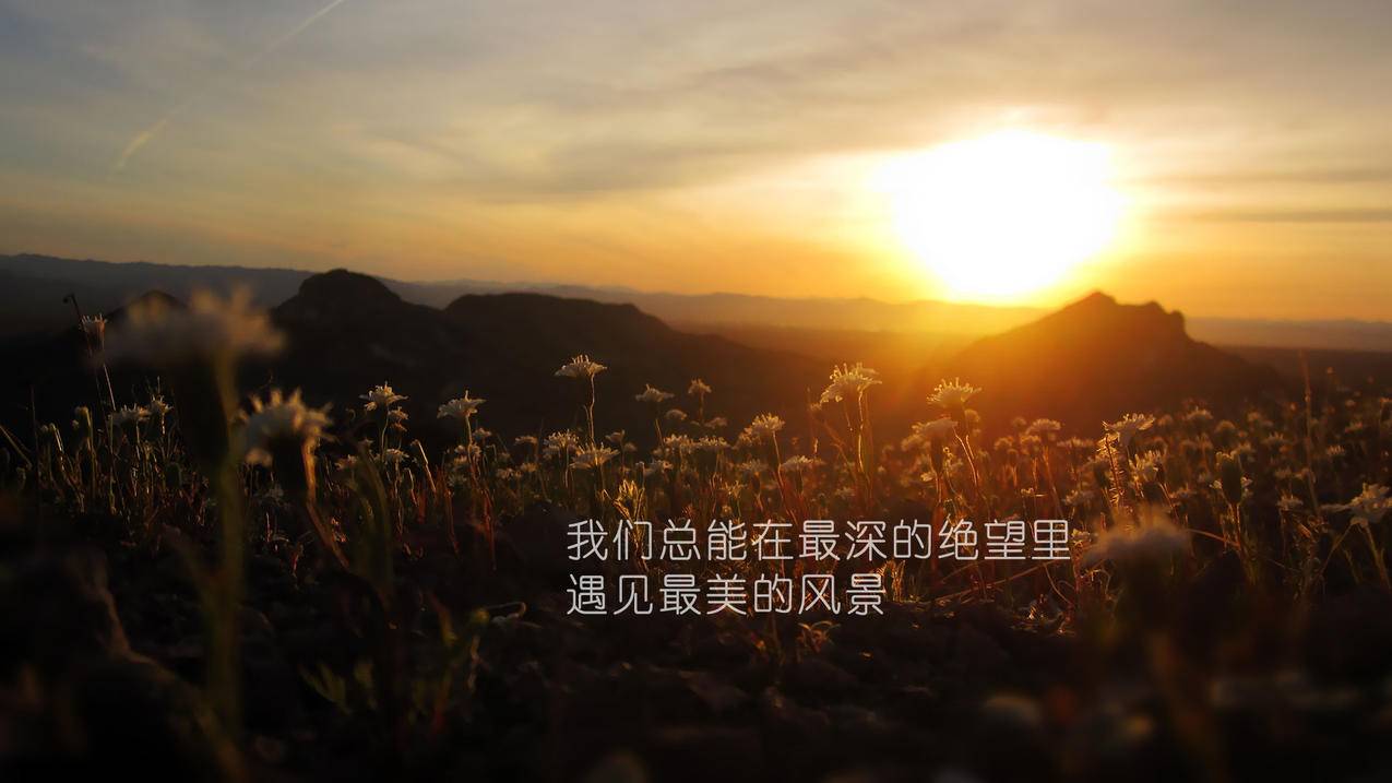 快手刷粉丝1元100