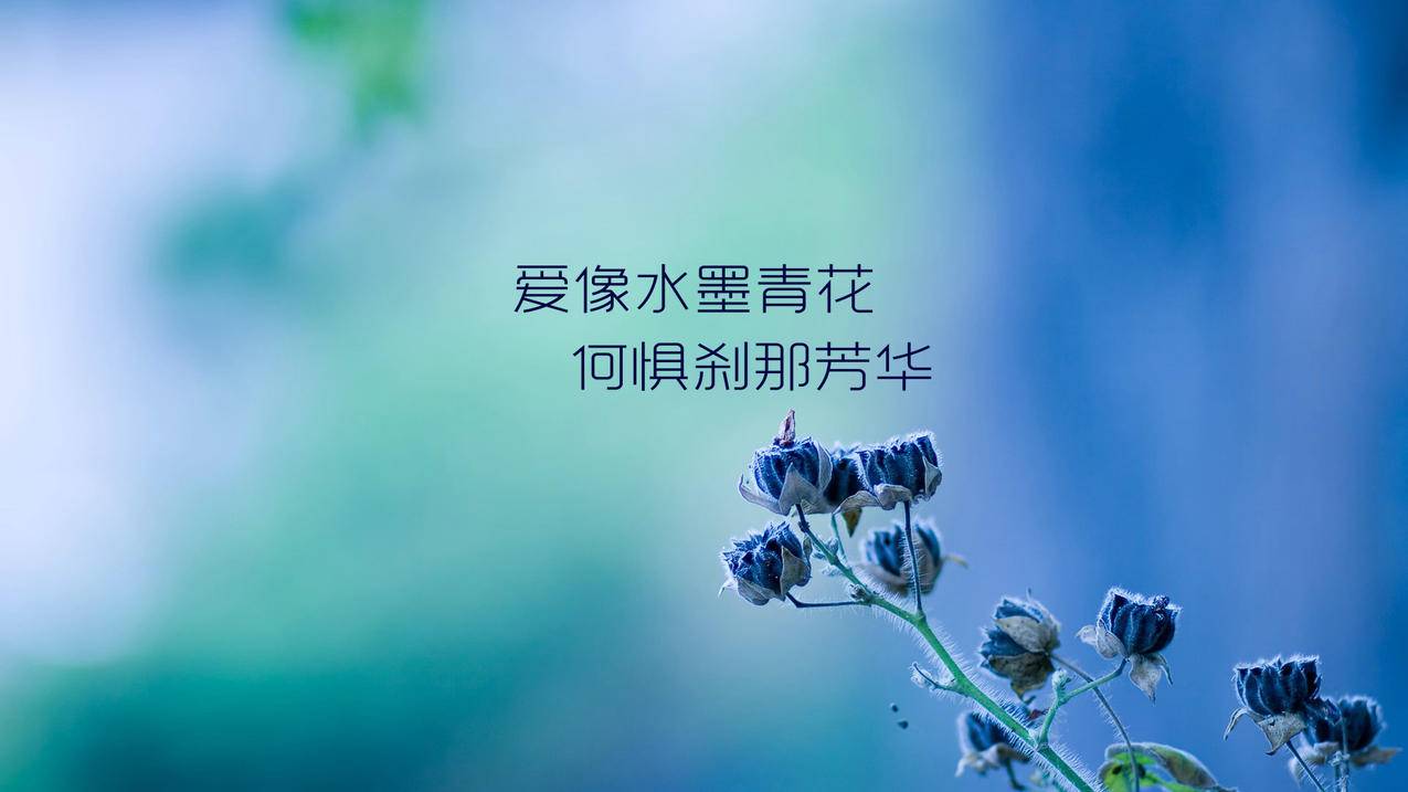 快手作品双击10刷-快手刷粉网址本站-星空业务网,抖音刷赞官网墨言最低价