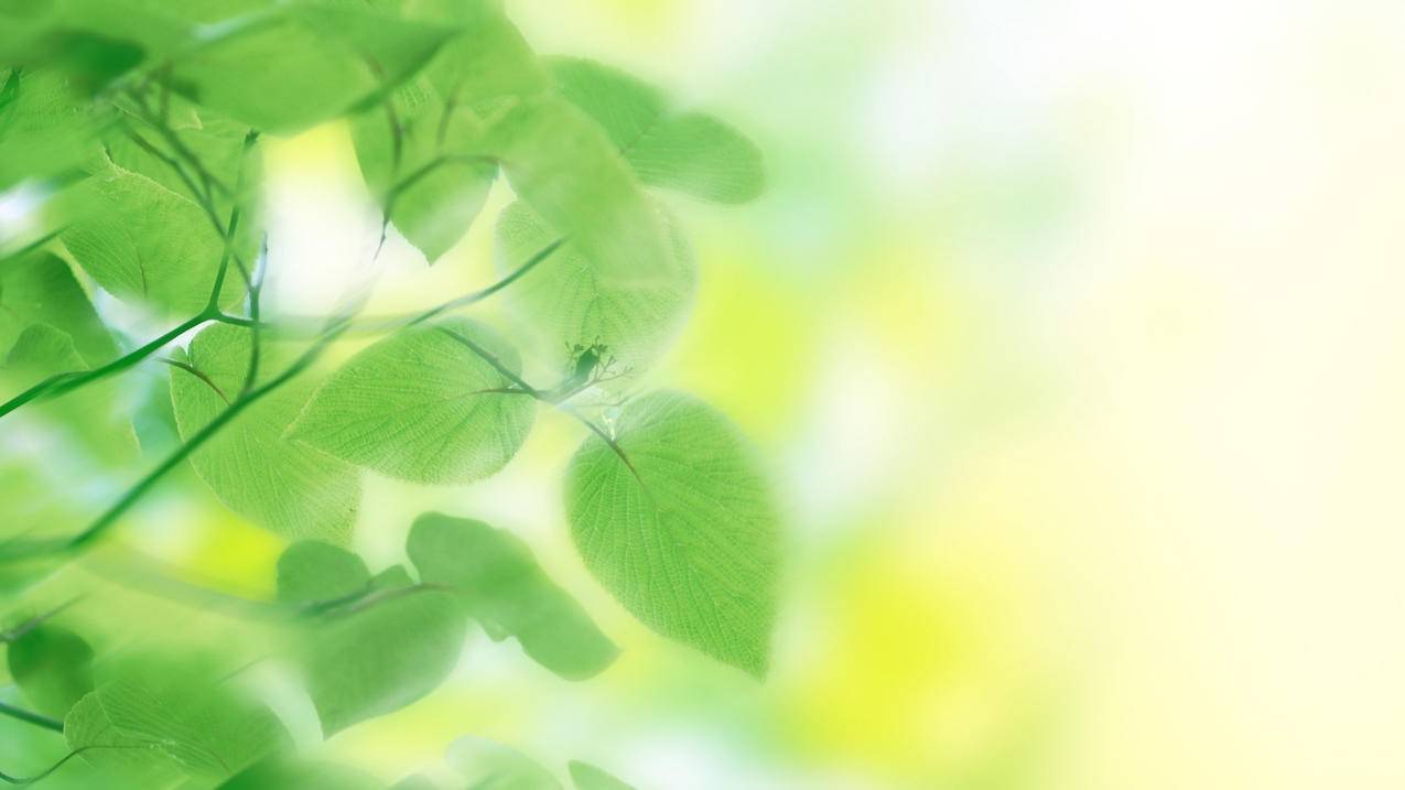 全网最低价刷小红书粉丝点赞抖音刷赞点赞神器_抖音ks刷赞_微博一元1000粉丝 - 抖音刷粉网站推广网站