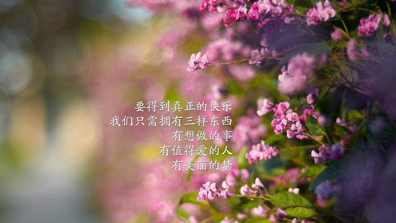 快手免费点赞代刷网 - 小红书粉丝点赞免费领1000赞网站,南荷刷业务网站平台