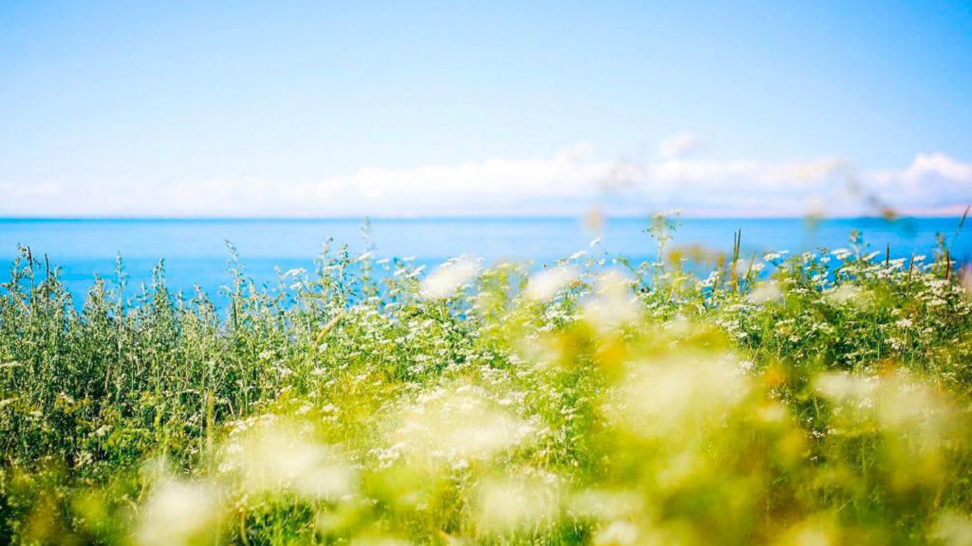 抖音粉丝24小时自助下单平台-快手刷赞24小时自助平台,刷赞小红书粉丝点赞赞网站最低价,王者荣耀刷人气软件网站,一元一百赞秒到快手