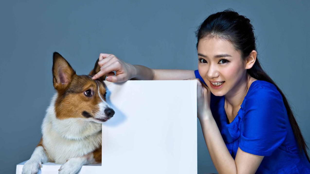触手刷人气弹幕 - 